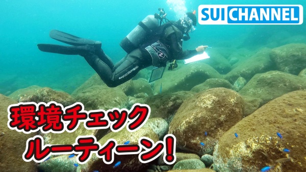 スイチャンネル長崎の海　ダイビング画像